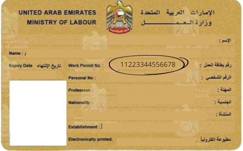 UAE Labour Card photo